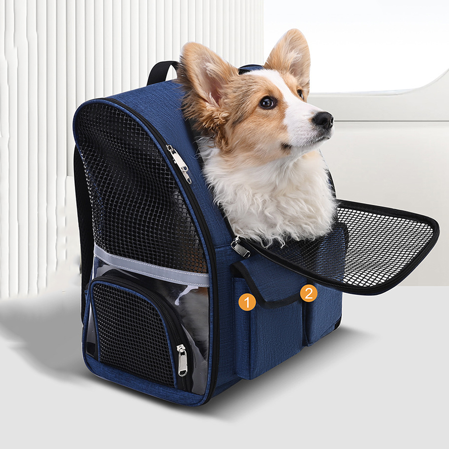 Mochila Dobrável para Transpor - Foldable Backpack Small avaliação e preço