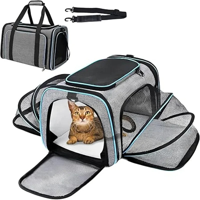 Mochila Portátil e Respirável  - Foldable Backpack Small avaliação e preço